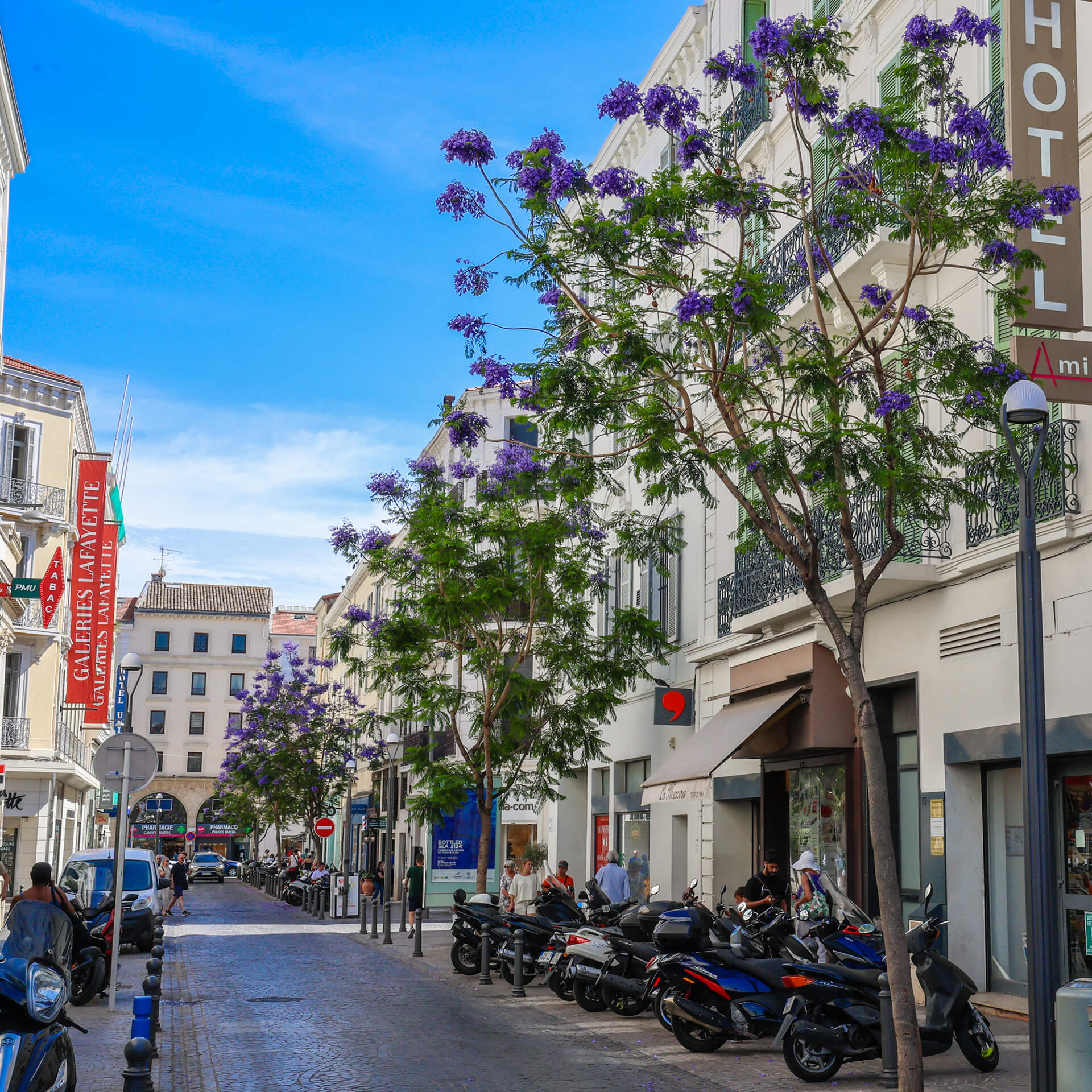 Rue du Maréchal Foch