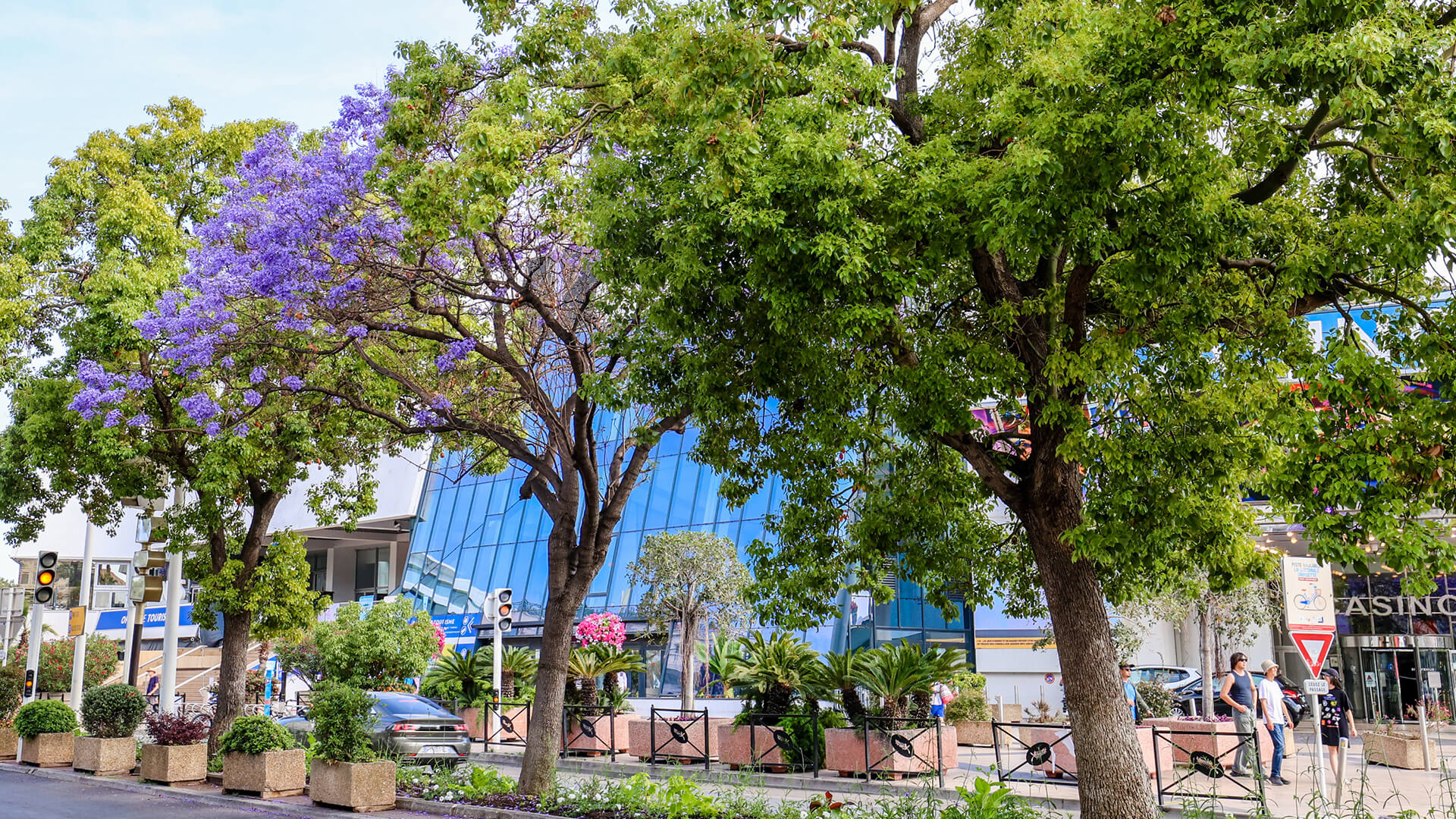 Boulevard de la Croisette